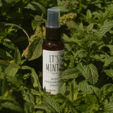 Deodorizing Spray